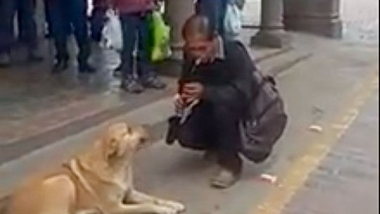 Perro acompaña a músico callejero y brindan 'show' en la Plaza Mayor del Cusco 